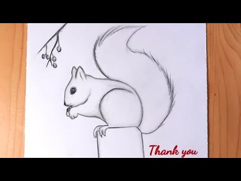 dessin facile | comment dessiner un écureuil très facile | dessin kawaii | dessins facile