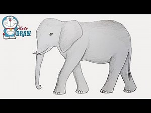 How to draw elephant Video Lecture - Complete Drawing Course Learn to Draw