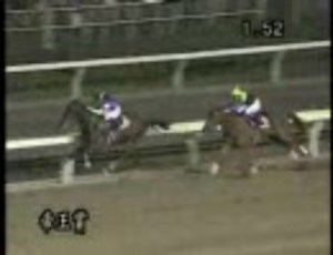 [競馬]　帝王賞　2006