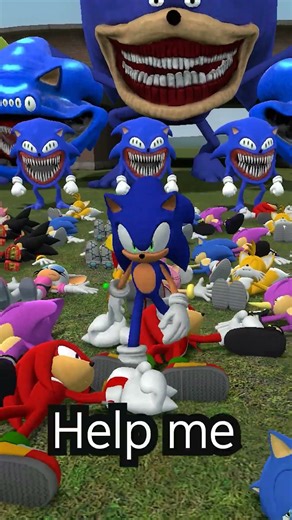 aonic yhe hedgehog fights for help with shadow the hedgehog