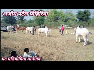 ___अजीम पटेल बिहिरिया ___