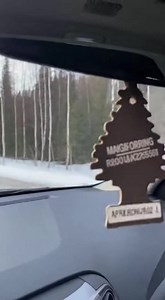 Bears Attack SUV After Sudden Roadside Encounter Interior Alaska — A routine drive through a remote stretch of road turned into a terrifying standoff when two bears charged a stopped SUV, clawing at the doors and slamming into the vehicle as stunned motorists looked on from nearby cars. The chaotic moment was captured from inside another vehicle as the encounter unfolded in seconds. The video opens with a silver SUV stopped on the icy shoulder near a wooded area. Without warning, two bears rush 