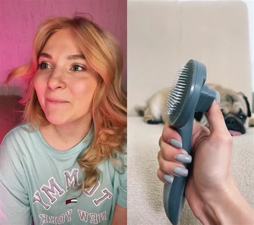 Pug Grooming Session: Relaxing with a Furry Friend