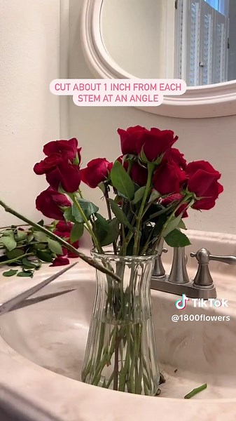 Unlock the secrets to a long-lasting rose bouquet with these care tips 🗝️🌹