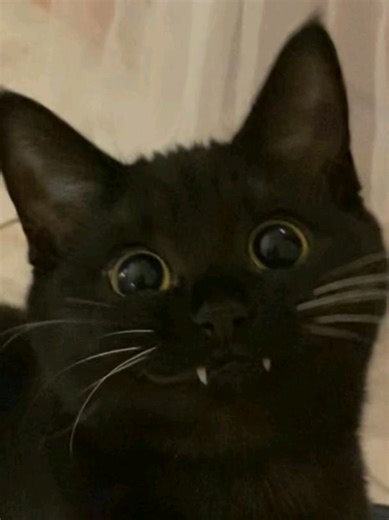 #song using you Mars Argo