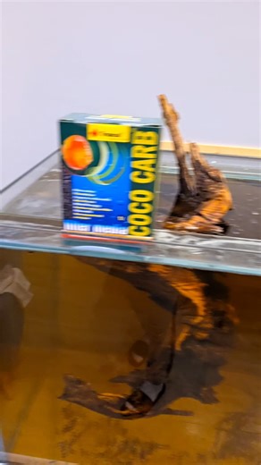 2K views · 33 reactions | Kolejna aktualizacja z zakładania akwarium...