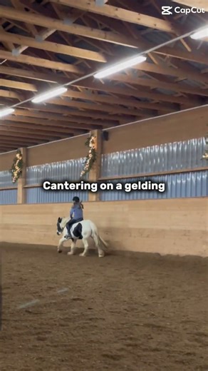 Cantering