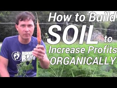 How to Best Build Soil to Increase Profit When Organic Farming