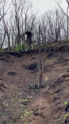 🏄‍♂️ en el #Grip que está #sick 👌. . commencalbikes commencallatam monsterenergy racer_chile #grip #mtb #downhill #sendit #bikelife #trainning #enduromtb | Pedro Ferreira