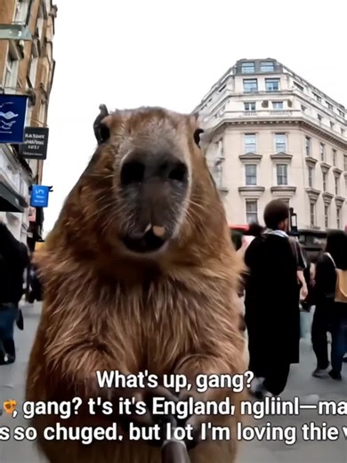 Capybaras in England: The Adorable Encounter