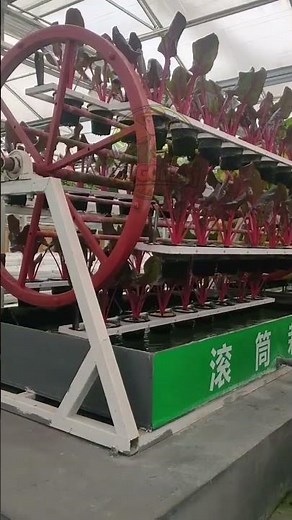 Unique Hydroponic Technology! Rotating Wheel System for Maximum Harvest 🌱💧