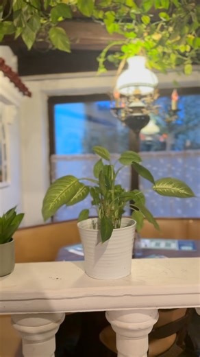 🇬🇷✨ Reservieren Sie Ihren Platz im Restaurant Delphi! Genießen Sie authentische griechische Spezialitäten, frische Zutaten und mediterrane Gastfreundschaft in gemütlicher Atmosphäre. Ob für ein romantisches Abendessen, ein Treffen mit Freunden oder ein Familienessen – wir freuen uns, Sie willkommen zu heißen! 🍷🍴 📞 Jetzt reservieren und Griechenland in Regensburg erleben! #RestaurantDelphi #GriechischesEssen #RegensburgEats #MediterraneKüche #DelphiRegensburg #GreekFoodLovers #TasteOfGreece 