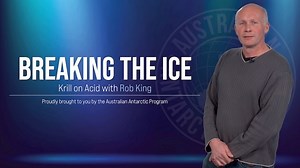 7K views · 210 reactions | As the #SouthernOcean becomes more acidic, what will this mean for #Antarctic krill? In National Science Week, marine biologist Rob King has the answers, from the only #krill aquarium of its kind in the world, at the Australian Antarctic Division in Hobart, #Tasmania. #scienceweek #oceanacidification #Antarctica #BreakingTheIce | Australian Antarctic Program | Facebook