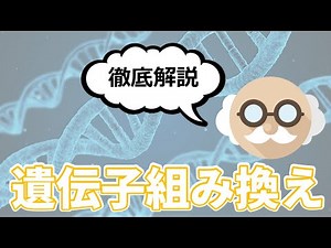[Explained in animation!] A thorough explanation of genetically modified foods [Explained in 7 mi...