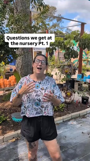 We love answering your questions 😂 but please bring a few more descriptors so we can help identify your plants 🌿 #plantstagram #gardening #gardencenter #plantsplantsplants #gardenlife | Jimbo’s Nursery