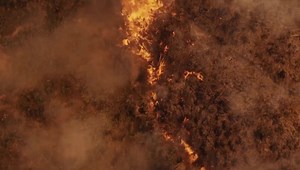 Have you watched our new music video for ‘Resentment’ yet? Watch now at youtube.com/adaytoremember | A Day To Remember