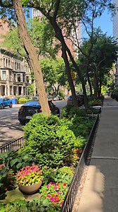 Gold Coast Chicago #goldcoastchicago #chicagoland #usareels | Adechi Olasodé