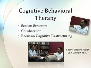 Cognitive Behavioral Therapy Session