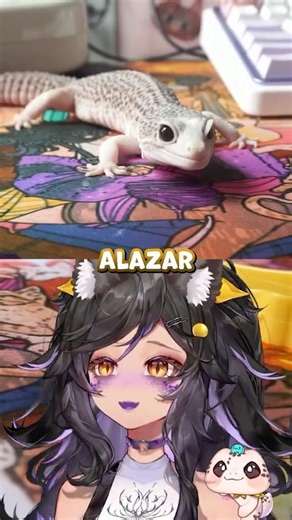My Gecko's Victim Was a Subscriber