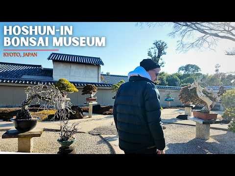The World's First Bonsai Garden Within A Zen Temple | Hoshun-in Bonsai Museum (Kyoto, Japan)