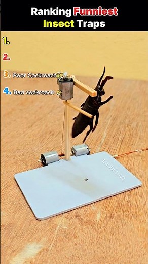 Top Insect Traps You Won’t Believe Actually Worked