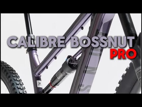 Calibre Bossnut Pro: Why The Stealth Launch?