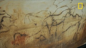 France : la grotte du Pech Merle renferme des centaines de peintures préhistoriques authentiques