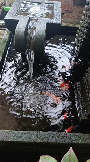 omen channel 82 on TikTok