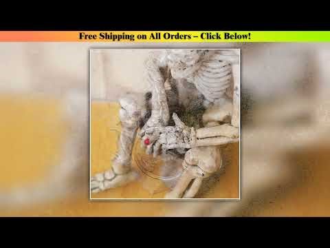 SEKINEW New Creative Skull Toilet Decoration Purse Rubber Keychain Keyring Car Ornament