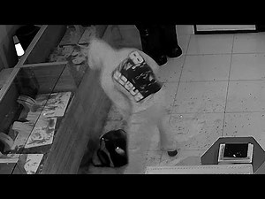 ‘We were terrified’: Jewelry Store owner reacts after burglar breaks in