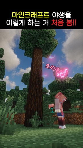 마크에서 이 맛을 알아버리면 큰일납니다ㅋㅋㅋ #마인크래프트 #마크서버 #마크서버추천 #아스텔라