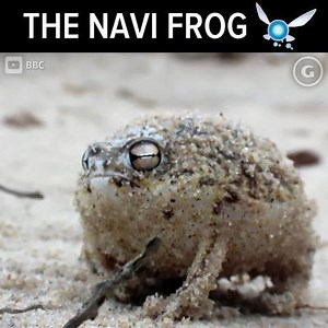 813K views · 13K reactions | Hey listen! | GameSpot | Facebook