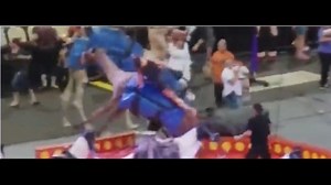 WATCH: Camel runs amok at Pittsburgh circus