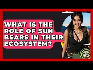 What Is The Role Of Sun Bears In Their Ecosystem? - The Wild Life Explorer