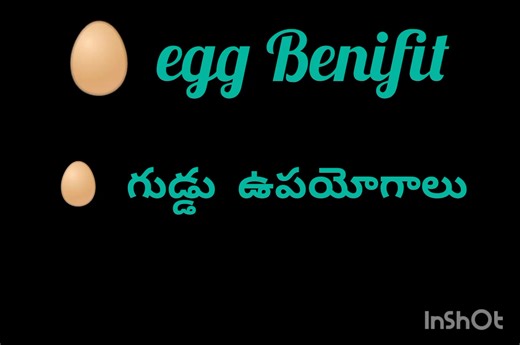 Eggs benefit గుడ్డు ఉపయోగలు | Weight loss Center & Nutrition Diet Plan