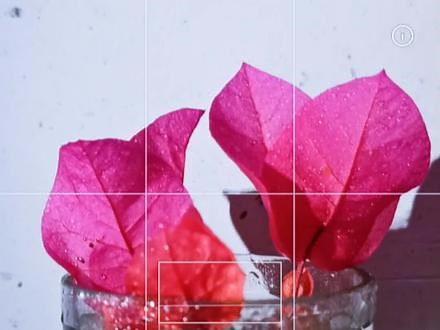 带你了解快门速度，感光度不变的情况下，快门速度快，则画面暗，快门速度慢，则画面亮！#手机摄影