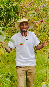 64K views · 6.3K reactions | Baalee  Gujii Adoola殺Kerchanshe Trading PLC | Lemi s Gemachu | Facebook