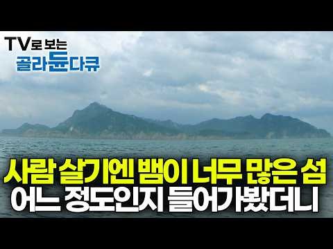 인근 주민들이 절대 가지 말라고 말린다. 맹독 살모사와 먹구렁이가 가득하다는 무인도 들어가보니｜선갑도｜하나뿐인 지구｜#골라듄다큐
