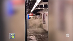 132K views · 1.4K reactions | Autobuses llenos de agua y el metro inundado: imágenes de las inundaciones en Nueva York. | Primer Impacto | Facebook