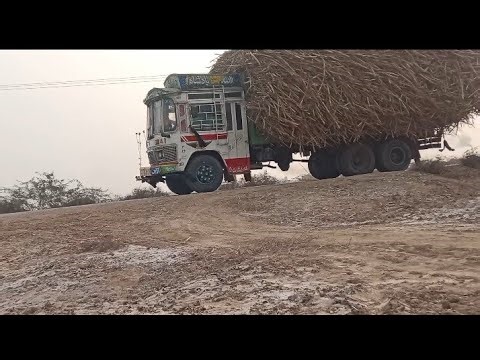 Maulana Qari Hanif multani Sahab