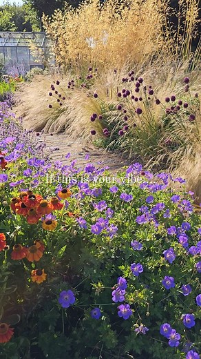 Design, planting, landscaping, gardening for mental health - that's how we roll! 💚 #gardening #landscaping #gardendesign #gardentips #gardenformentalhealth #plantinspiration | Henry Agg