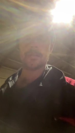 Experiencing Calving Cows on a Farm