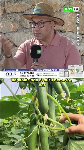 Well-Nourished Plants Don't Get Sick! #village #agriculture #farmer #field