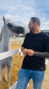 507K views · 13K reactions | الجو هذا لجمهوري في أوروبا ❤️‍ #حفلات #Cheb_Bachir | Cheb Bachir | Facebook