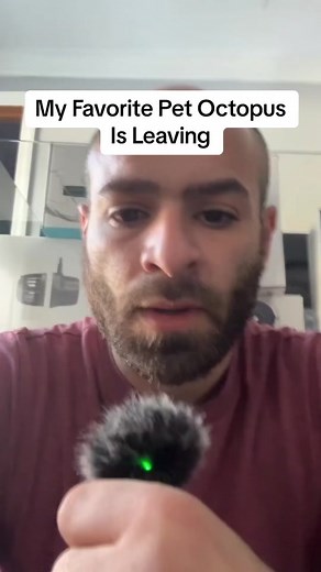 Byrdie the Octopus - Remembering a Special Friend