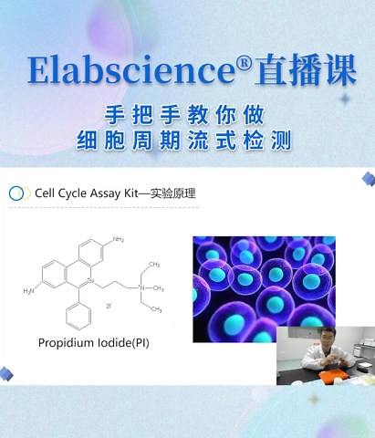 直播回放|手把手教你做细胞周期流式检测