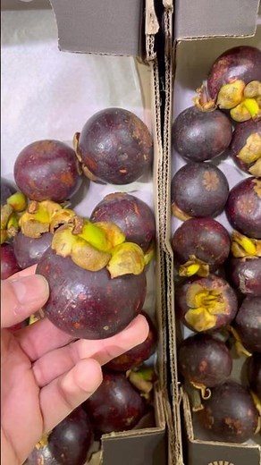 Mangosteen: the fruit known as “the queen of fruits” 🍈