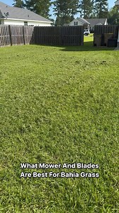 Let’s Talk Bahi Grass aka The Devil Grass #growitwemowit #foryou | Grow It We Mow It LLC