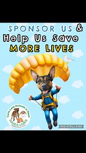 Our adventurous team will go to any height (well 15,000 feet to be precise) ✈️ to help raise funds for the Sanctuary animals. Sanctuary staff Cathy🐕, Kate🐈 and Gary🐕 along with Nat 🩺and Holly💉 from Mersey Vets have nominated themselves to take the plunge! 🪂 So now is the time to sponsor them before they can back out. Any amount you can donate will go a long way to secure the future of many homeless animals that come through our doors. 🐕🐈🐇🐏🦃🦢🦆🐓🐔 To sponsor, just click on the link i