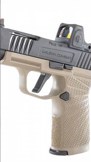RMR CC Cut on Wilson Combat 365